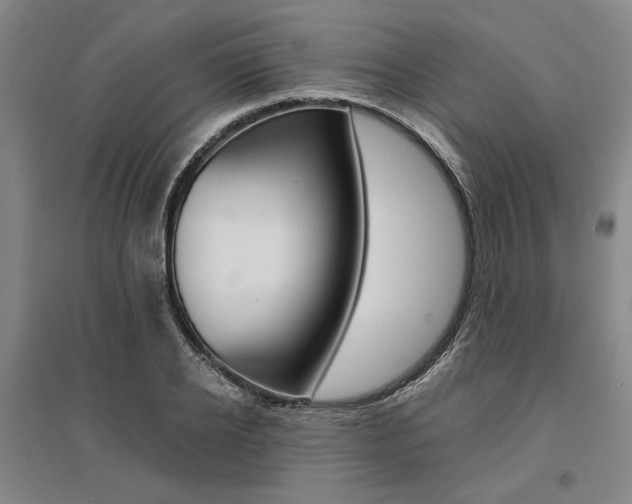 X0000095540934200712141020