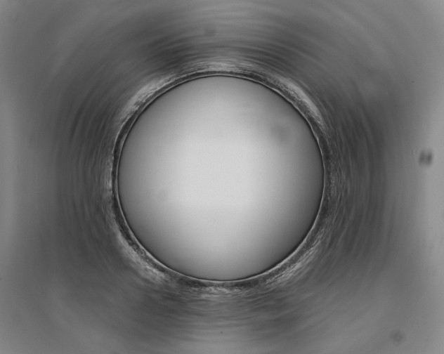 X0000095540938200712141021