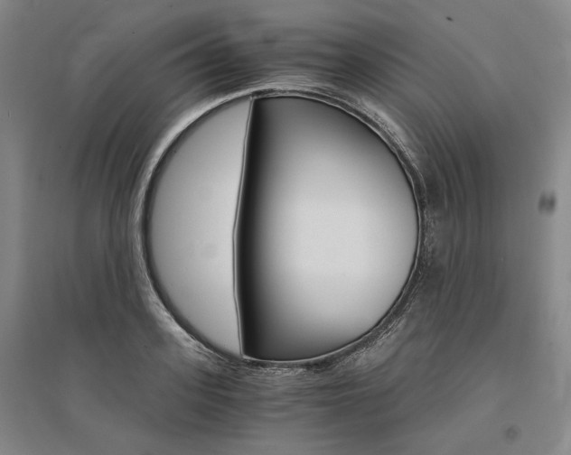 X0000095540939200712141021