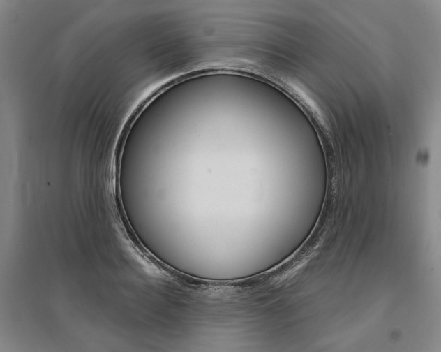 X0000095540940200712141021