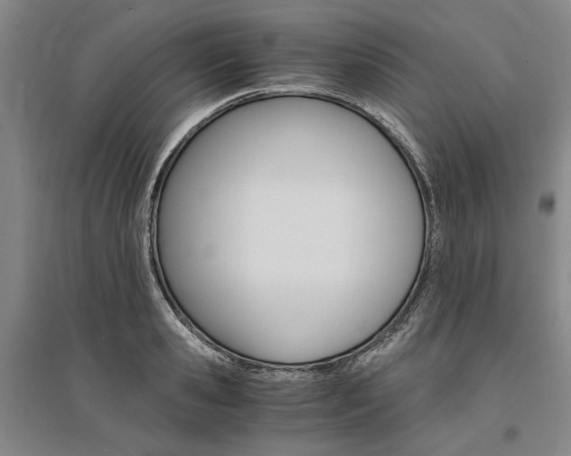 X0000095540941200712141021