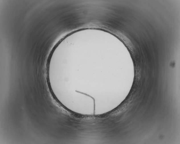 X0000095540950200712141021