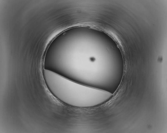 X0000095540952200712141021