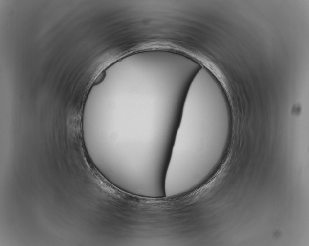 X0000095540953200712141021
