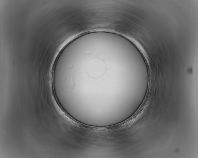 X0000095540957200712141021
