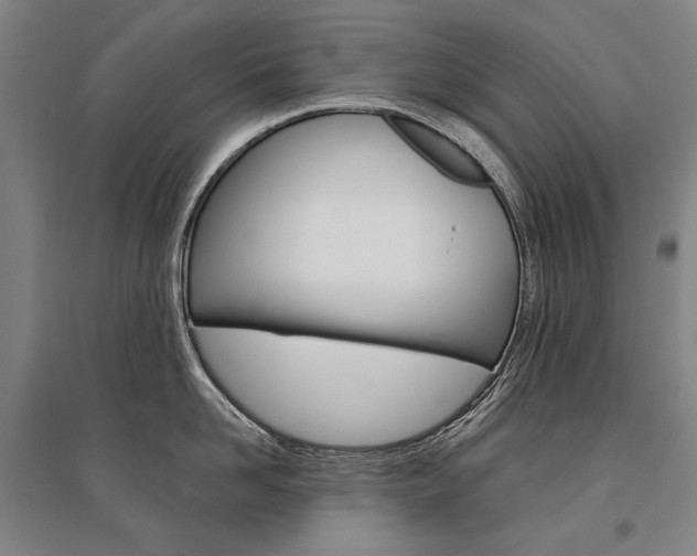 X0000095540958200712141021