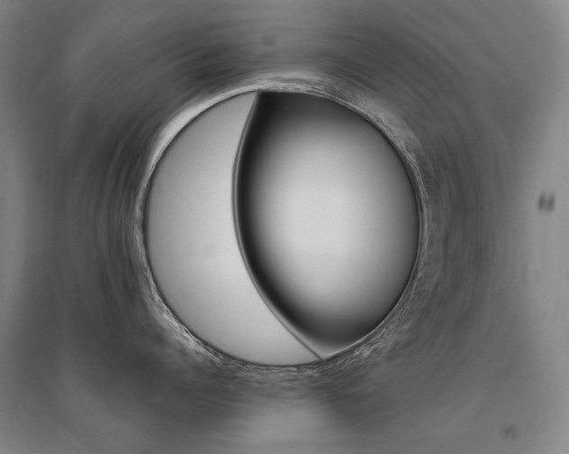 X0000095540960200712141021