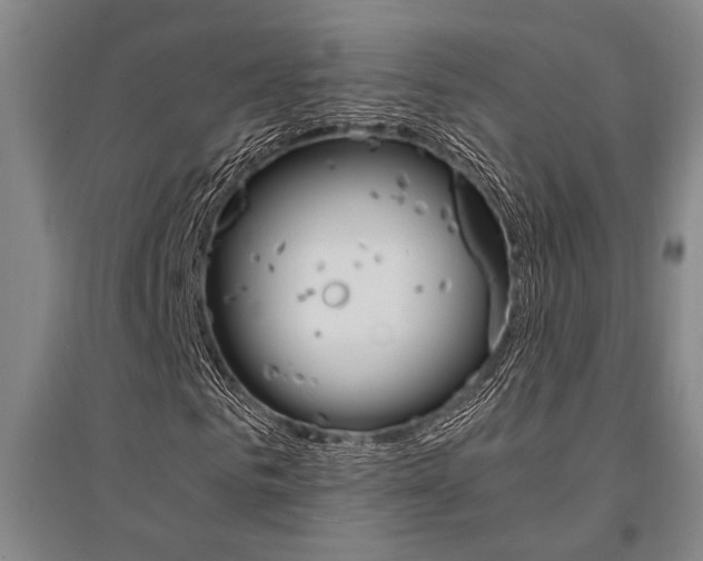 X0000095540961200712141020