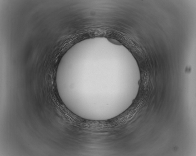 X0000095540962200712141020