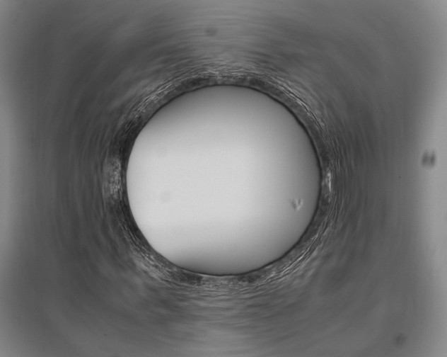 X0000095540963200712141020