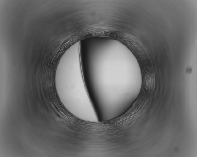 X0000095540964200712141020