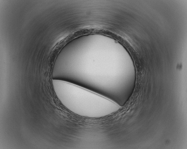 X0000095540967200712141020
