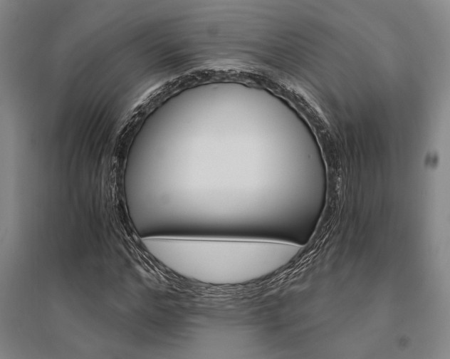 X0000095540968200712141020