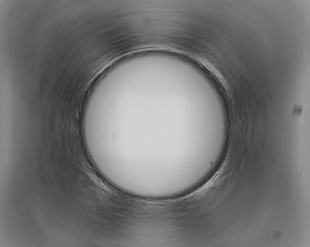 X0000095540969200712141020