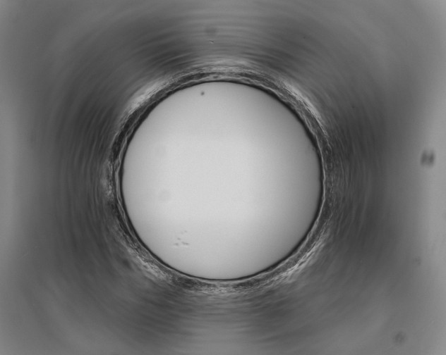 X0000095540970200712141020