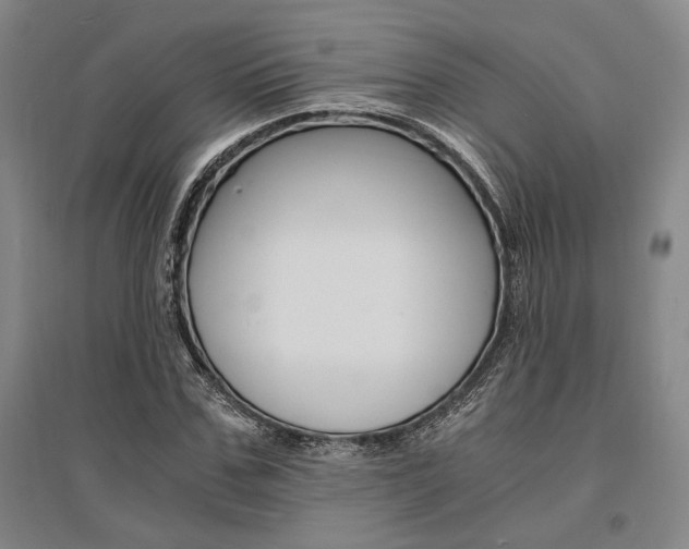 X0000095540971200712141020