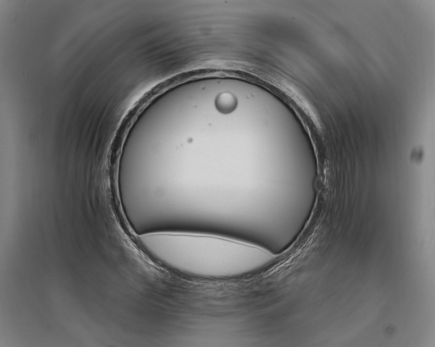 X0000095540972200712141020