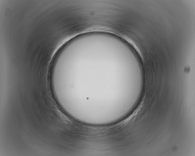 X0000095540973200712141020