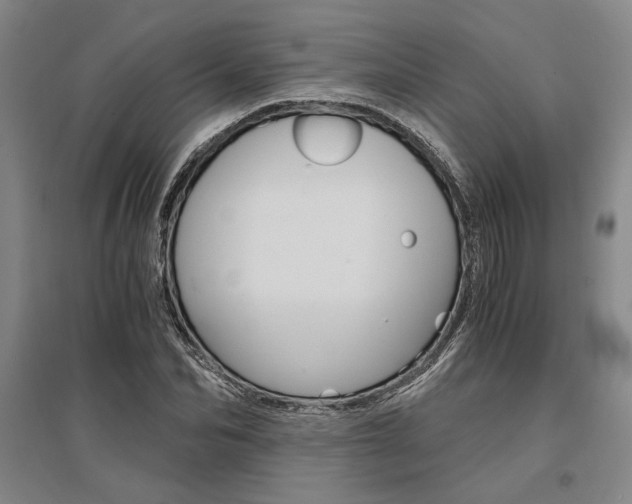 X0000095540974200712141020