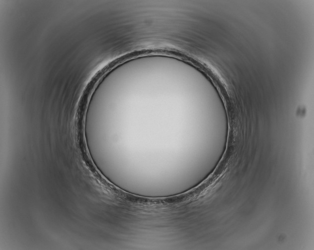 X0000095540975200712141020