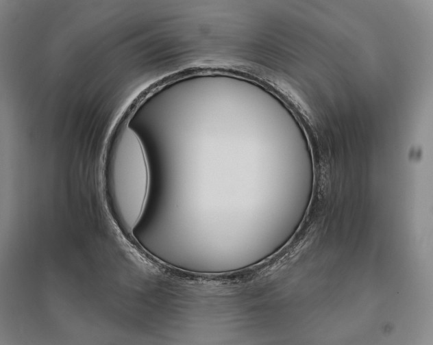 X0000095540976200712141020