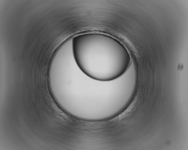 X0000095540977200712141020