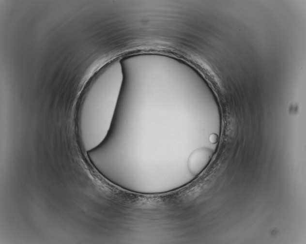 X0000095540978200712141020