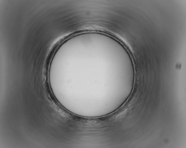 X0000095540979200712141020