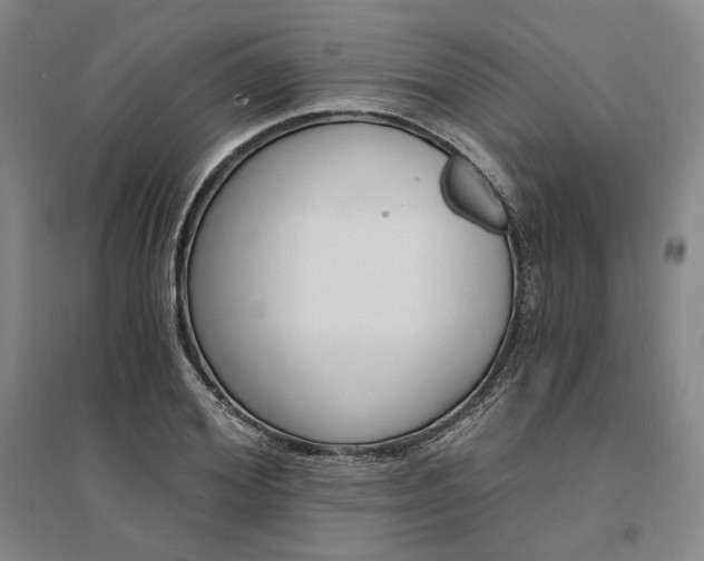 X0000095540980200712141020