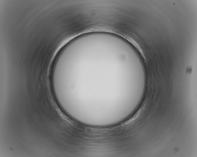 X0000095540981200712141020