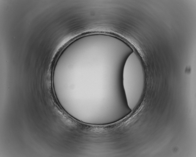 X0000095540982200712141020