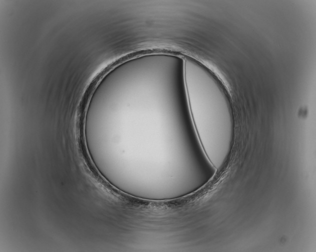 X0000095540983200712141020