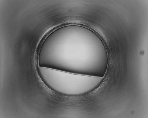 X0000095540984200712141020