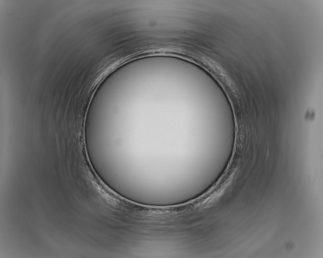 X0000095540985200712141020