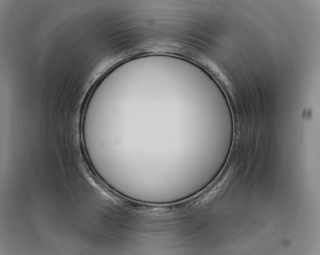X0000095540986200712141020