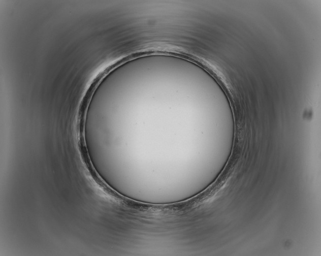 X0000095540987200712141020