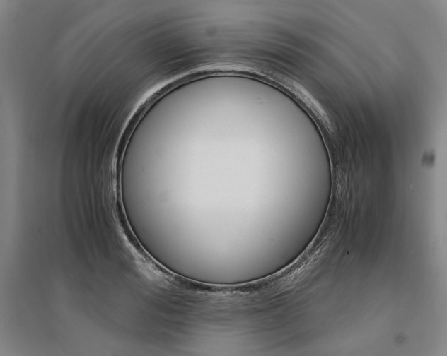 X0000095540988200712141020
