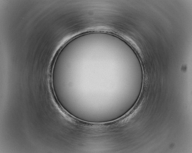 X0000095540989200712141020