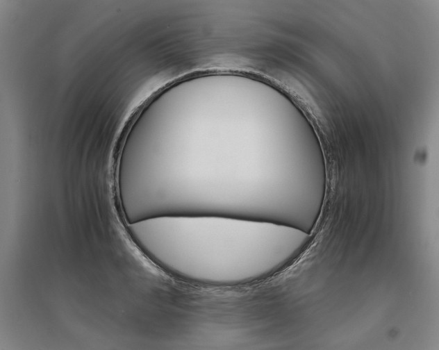 X0000095540990200712141020