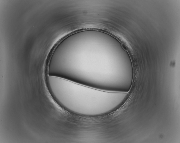 X0000095540991200712141019