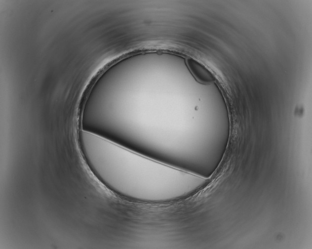 X0000095540992200712141019