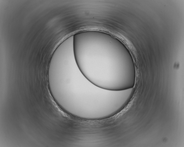 X0000095540993200712141019