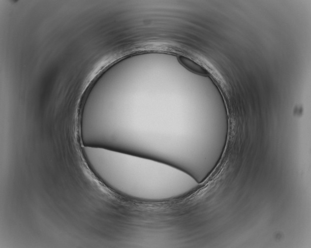 X0000095540994200712141019