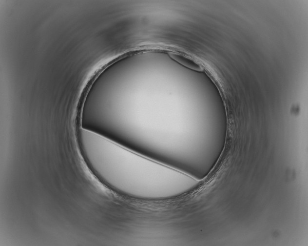 X0000095540995200712141019