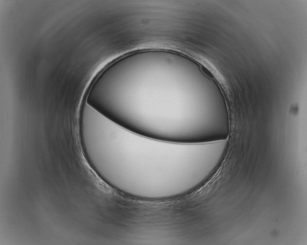 X0000095540996200712141019