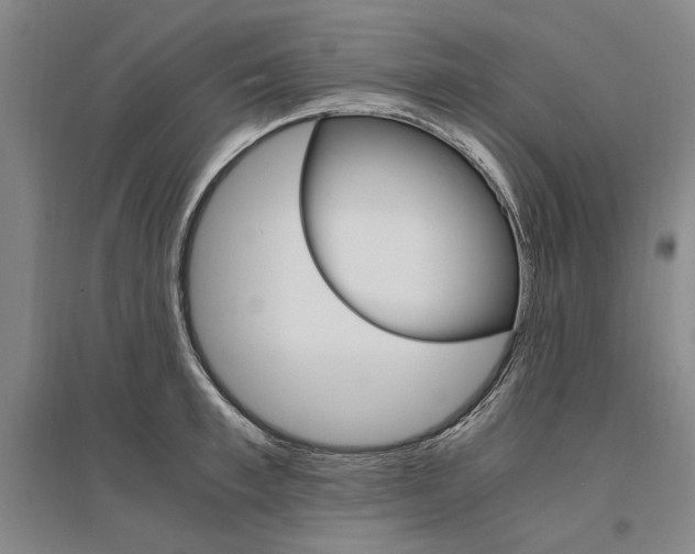 X0000095540997200712141019