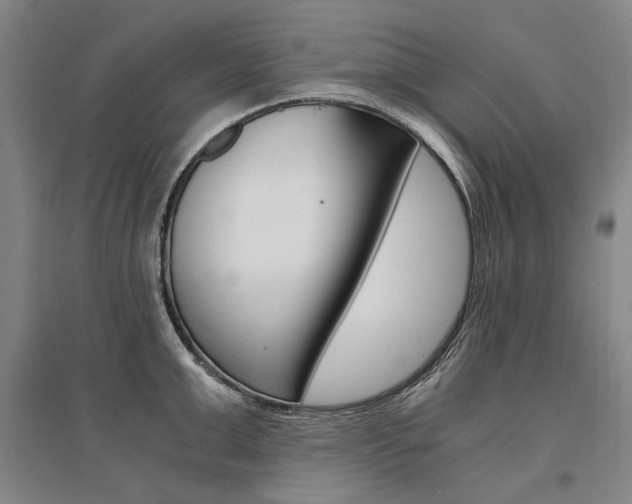 X0000095540999200712141019