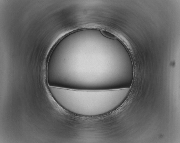 X0000095541000200712141019