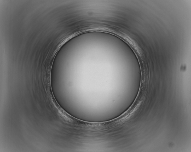 X0000095541001200712141019