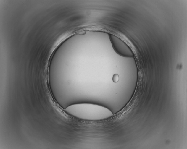 X0000095541002200712141019